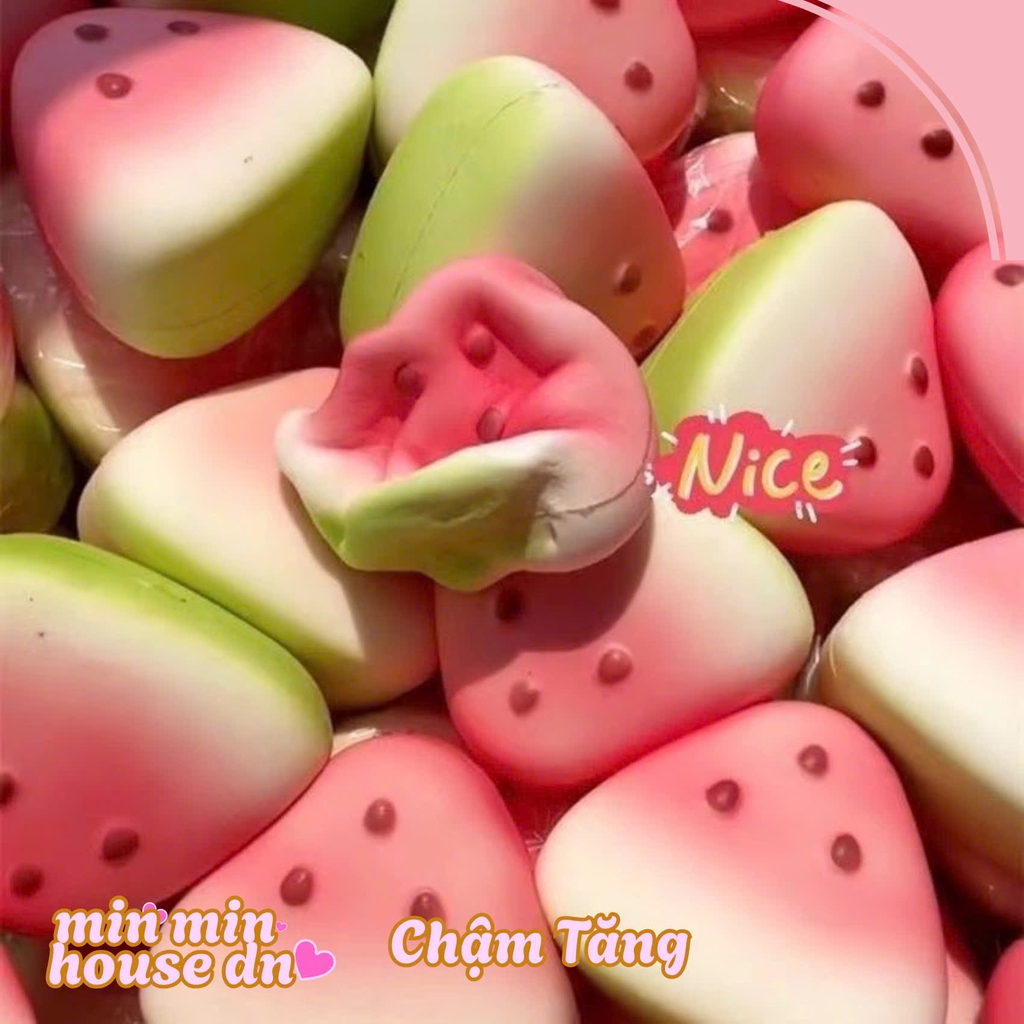 Squishy HT miếng Dưa Hấu Tươi Ngon