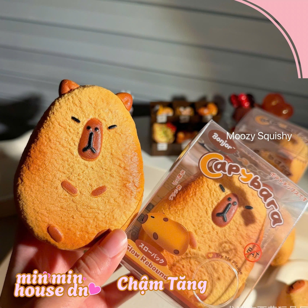 Mozzy squishy Bánh Nướng Capybara CH