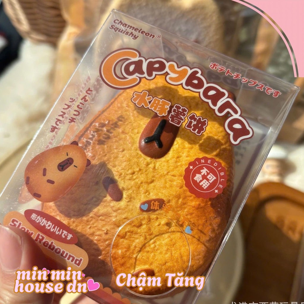 Mozzy squishy Bánh Nướng Capybara CH