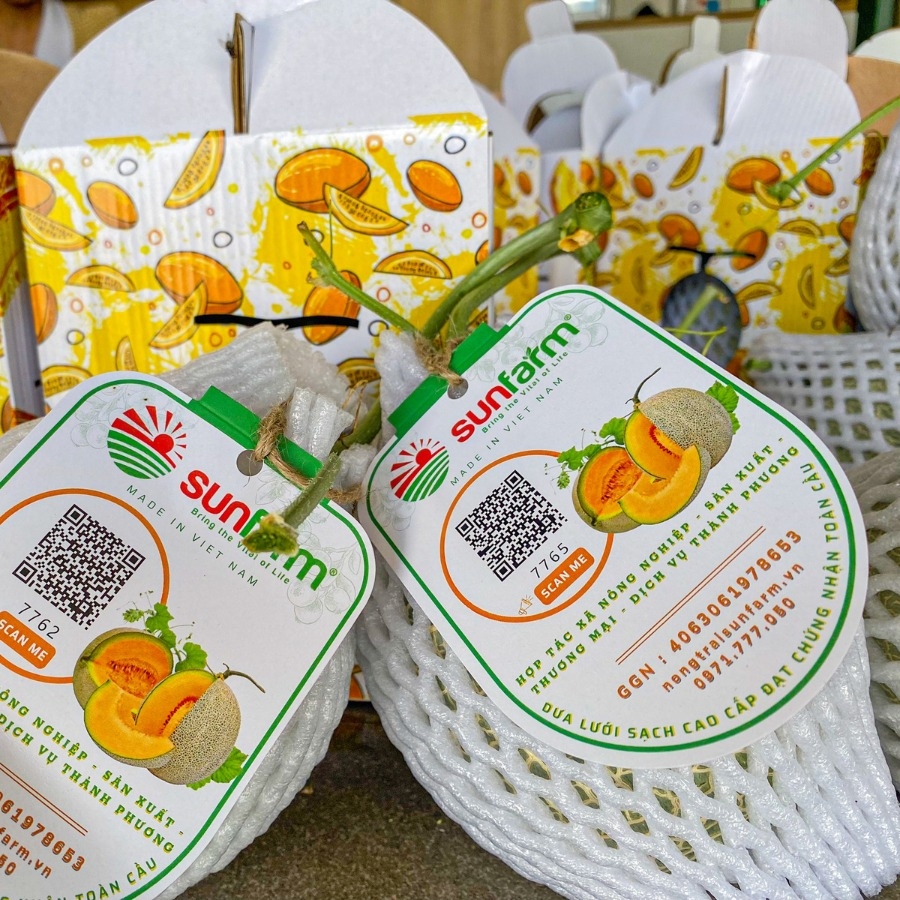 Dưa lưới Queen Cao Cấp Loại 1