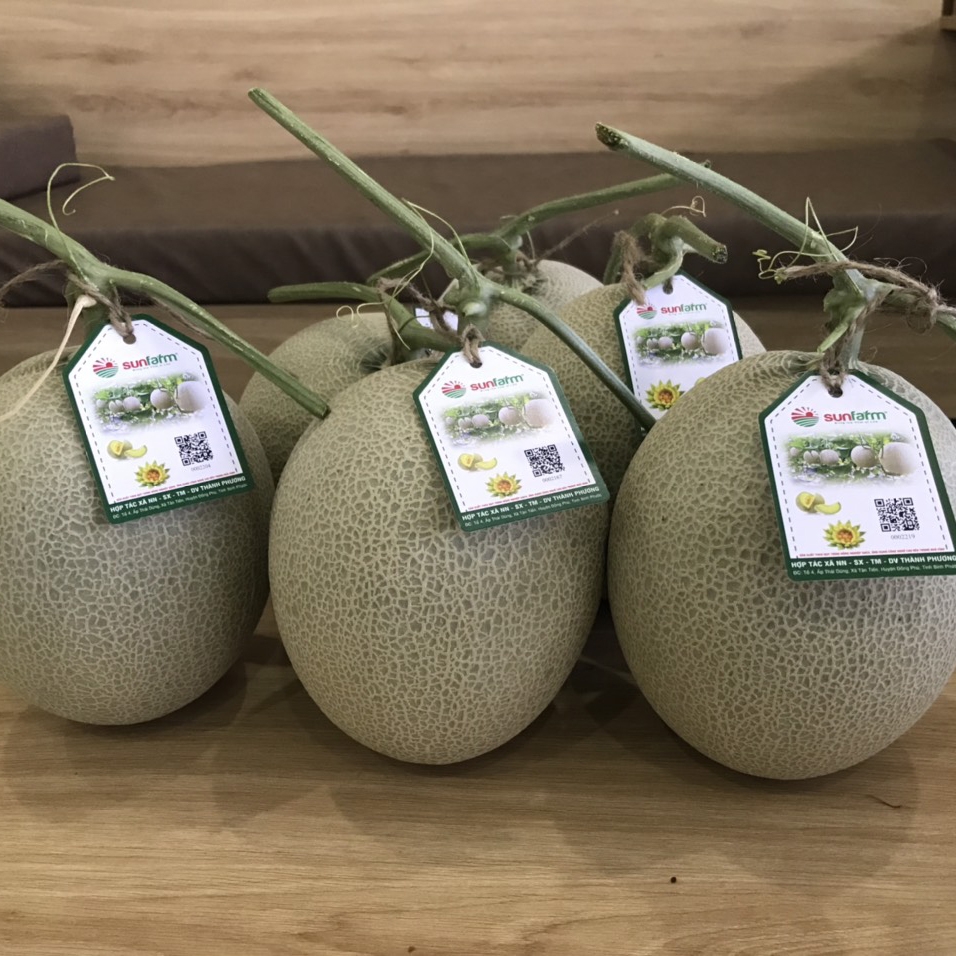 Dưa lưới Queen Cao Cấp Loại 1