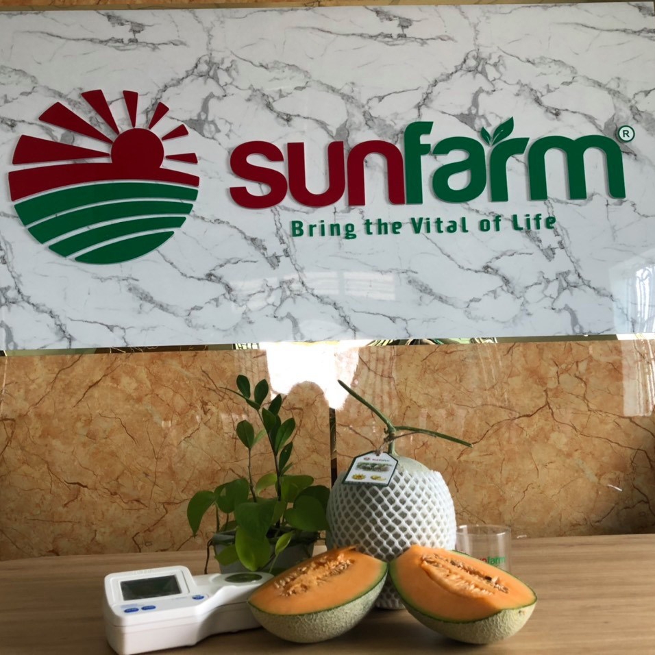 Dưa lưới Queen Cao Cấp Loại 1