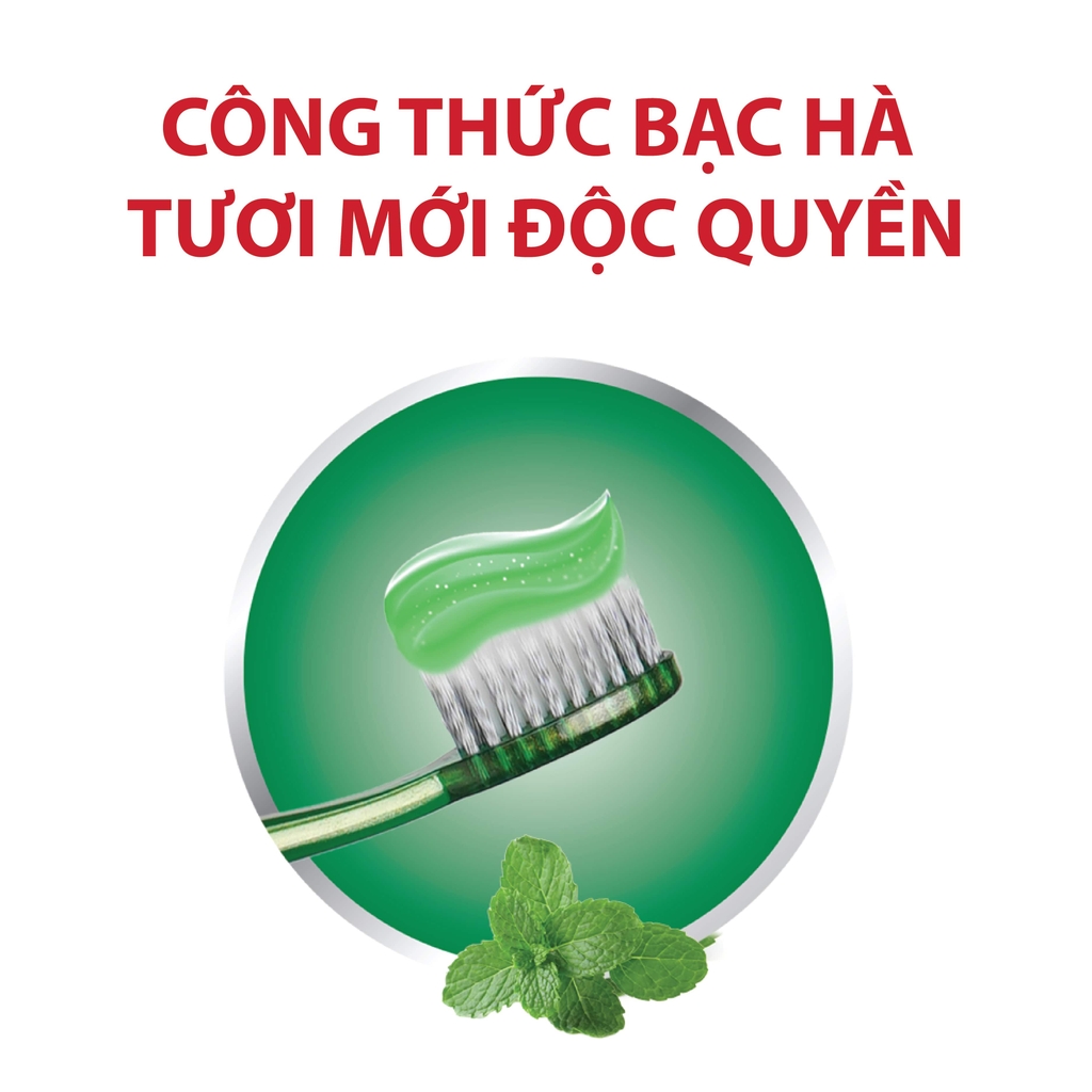 Kem Đánh Răng Lipzo 12 Giờ Rạng Ngời 185g – Ngừa Sâu Răng, Thơm Miệng, An Toàn Cho Nướu