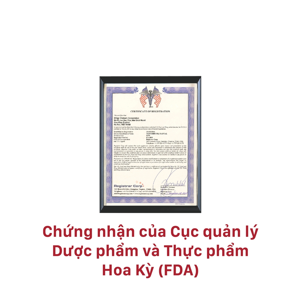 Combo 3 Kem Đánh Răng Thảo Dược Lipzo Gum Protect Chống Tụt Nướu 95g Ngăn Ngừa Chảy Máu Chân Răng, Khử Khuẩn, Răng Chắc Khỏe Tự Nhiên