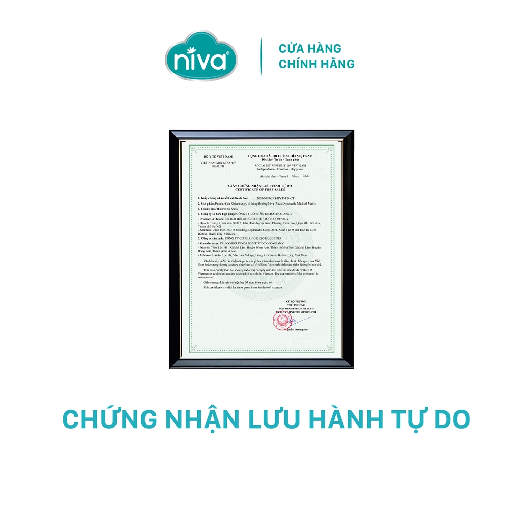 Combo 10 Khẩu Trang Y Tế 4 Lớp Niva Hộp 20 Cái Kháng Khuẩn, Ngăn Khói Bụi, Vi Khuẩn Hàng Chính Hãng Cao Cấp