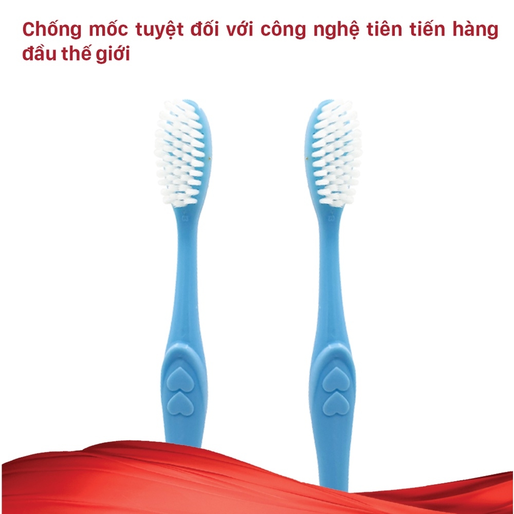 Combo 3 Bàn Chải Đánh Răng Lipzo Maxcare Dành Cho Người Lớn Công Nghệ Lông Chỉ Tơ Nha Khoa Mảnh Siêu Bền