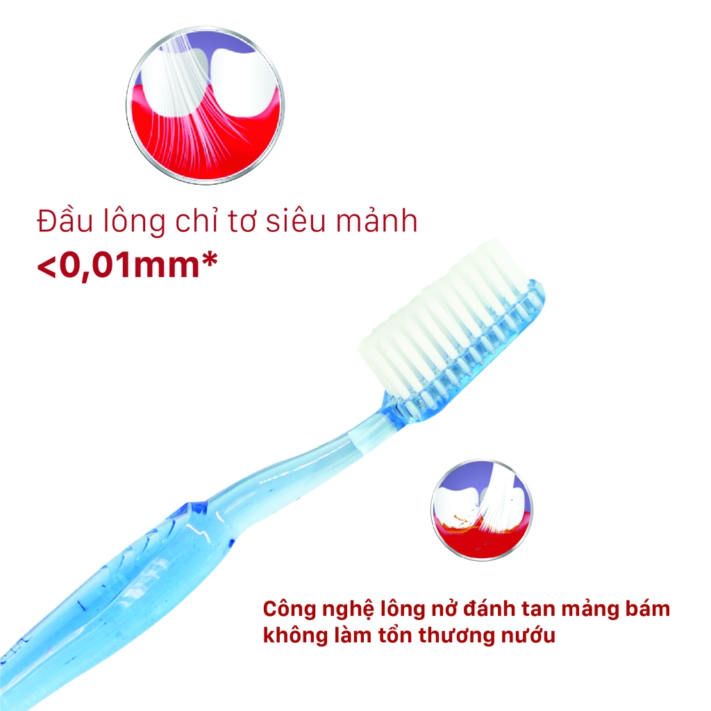 Bàn Chải Đánh Răng Lipzo Crystal Love For Man Cho Nam Giới  Công Nghệ Lông Nở Kết Hợp Chỉ Tơ Nha Khoa Siêu Mềm Mảnh