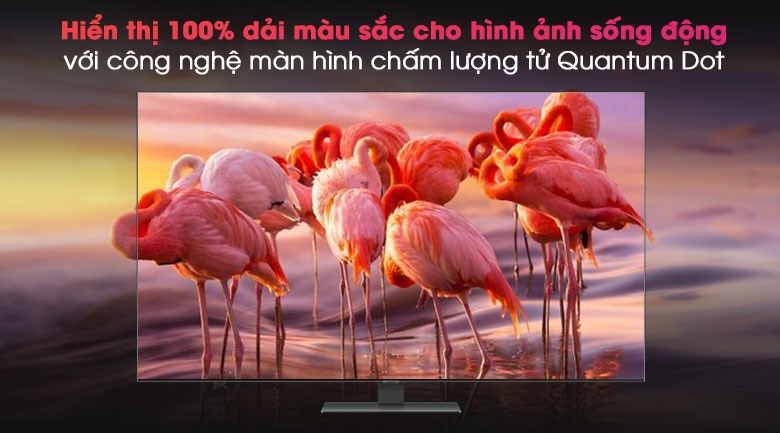 Smart Tivi QLED 4K 50 inch Samsung QA50Q80A