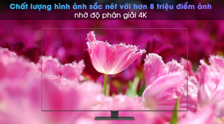 Smart Tivi QLED 4K 55 inch Samsung QA65Q80A