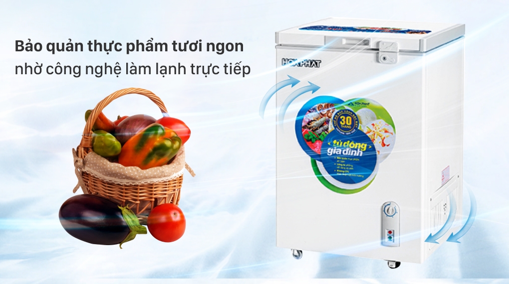 Tủ đông mini Hòa Phát HCF 106S1Đ 107 lít