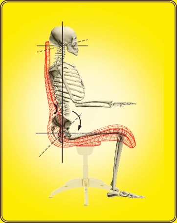 GHẾ VIP 95 DOCTORLOAN