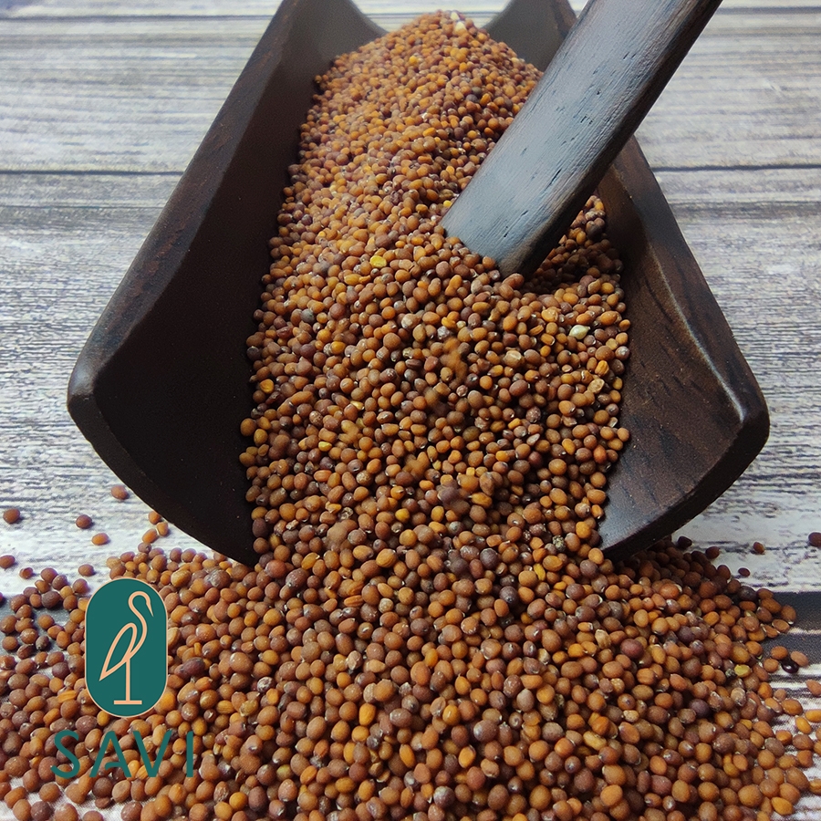 Hạt Mù Tạt Nâu (75g)