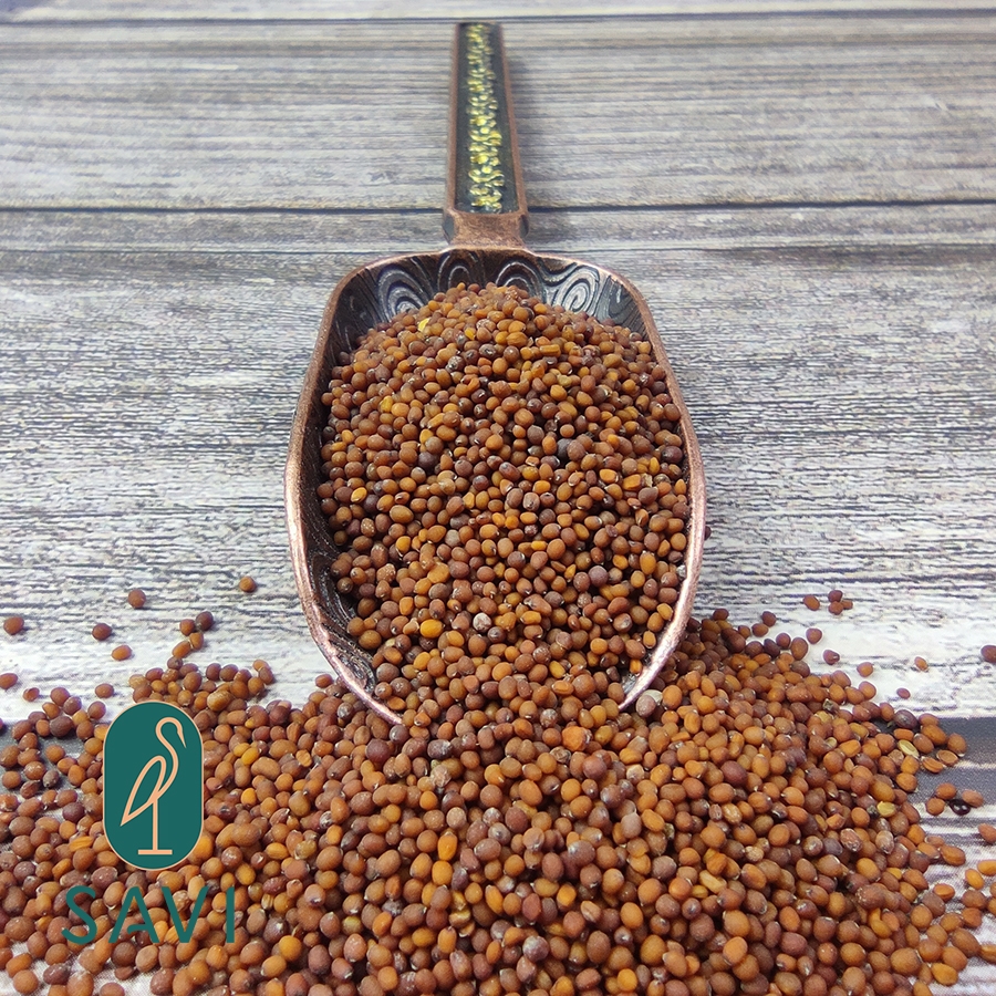 Hạt Mù Tạt Nâu (75g)