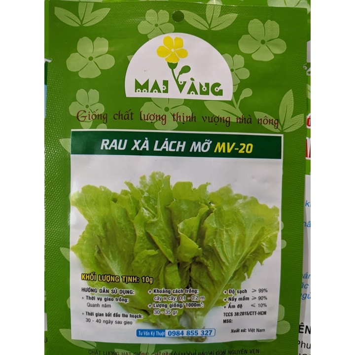 Combo 10 gói hạt giống rau ăn lá phổ biến trồng thủy canh - 10 loại khác nhau như hình (chat với shop nếu muốn chọn)