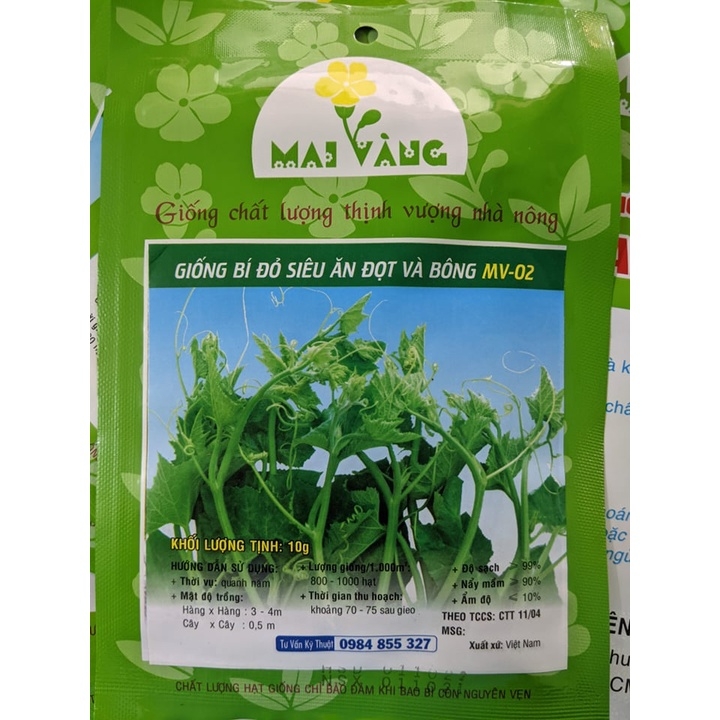 Hạt giống Bí Siêu Ngọn ăn Đọt và Bông 10g