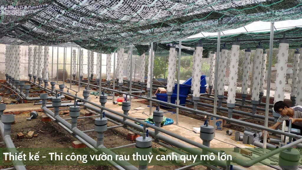 Chi Phí Đầu Tư Trồng Rau Thủy Canh 100m2, 1000m2