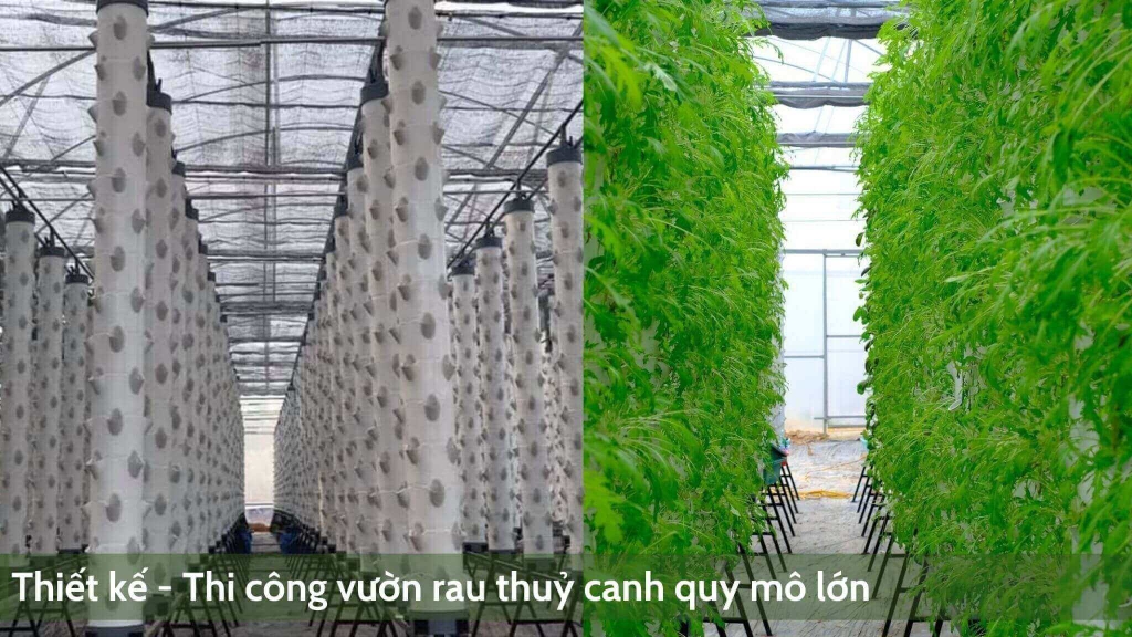 Chi Phí Đầu Tư Trồng Rau Thủy Canh 100m2, 1000m2