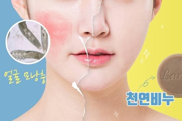 XÀ BÔNG THẢO DƯỢC D+29 CHO DA MỤN