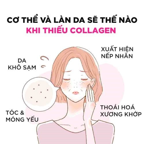 Viên uống collagen DHC Collagen