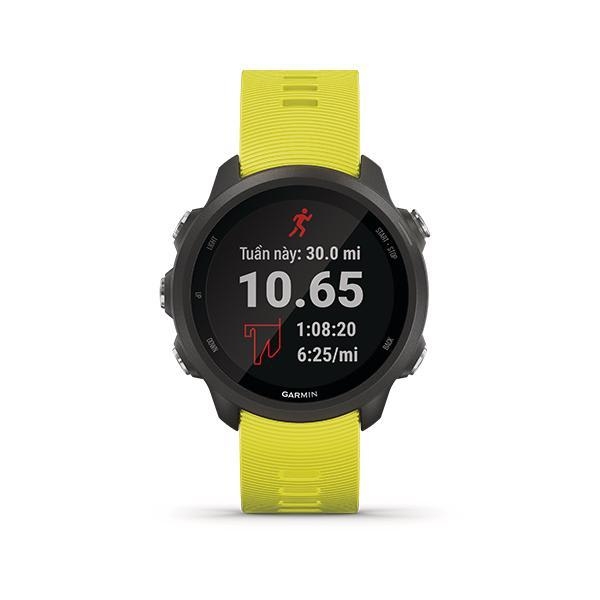 Đồng hồ thông minh Forerunner 245, GPS, Xám/Vàng, SEA