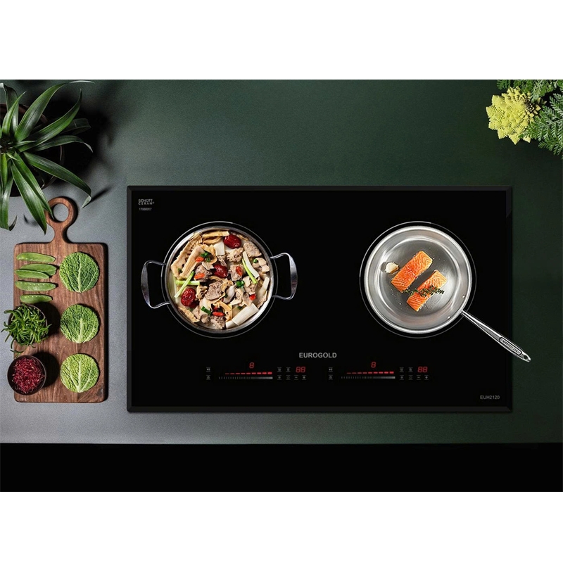 Bếp 2 Từ Eurogold EUH2120