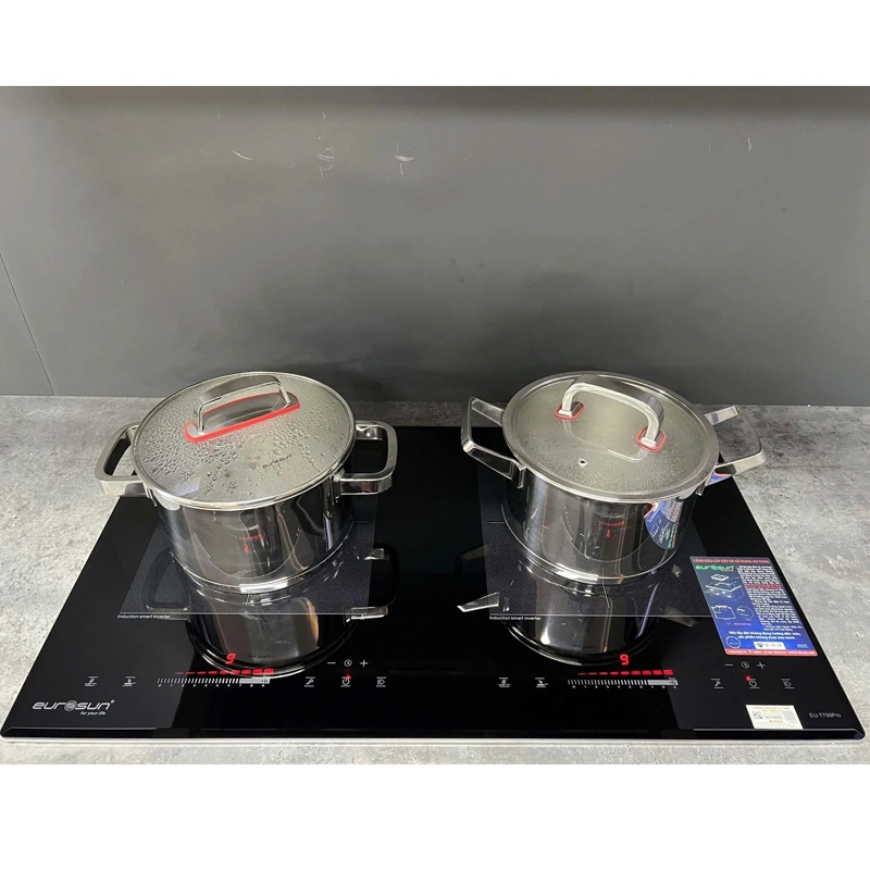 Bếp từ Eurosun EU-T798Pro