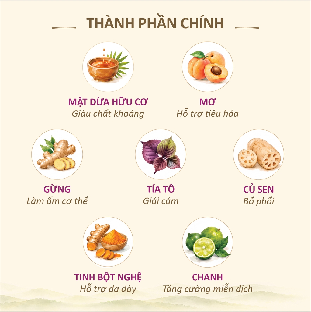 Các thành phần chính của thức uống dưỡng sinh Mật Mơ Gừng