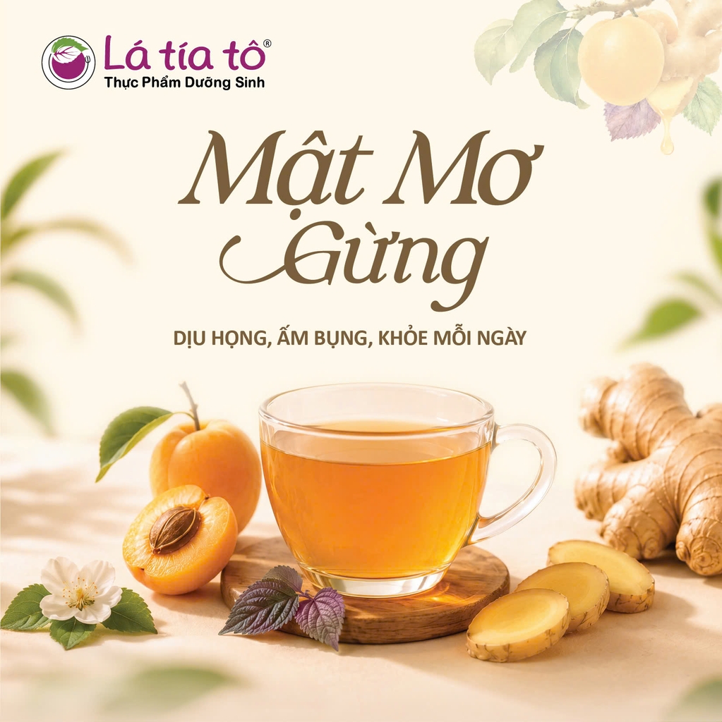 Mật Mơ Gừng giúp giảm ho, dịu họng, làm ấm cơ thể, tăng sức đề kháng và giảm táo bón lâu dài.