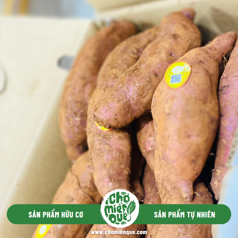 Khoai lang mật hướng hữu cơ - Kg