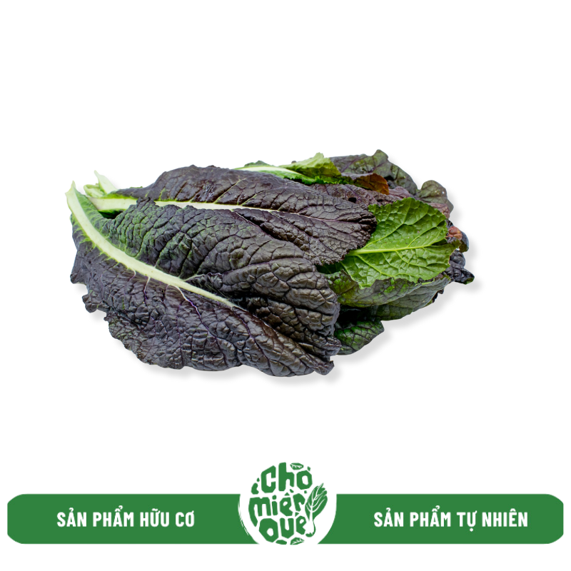 Cải mù tạt hữu cơ - Kg