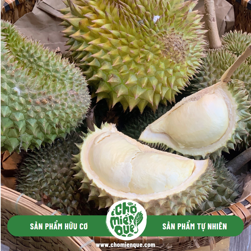 Sầu riêng ổi giống xưa - Kg