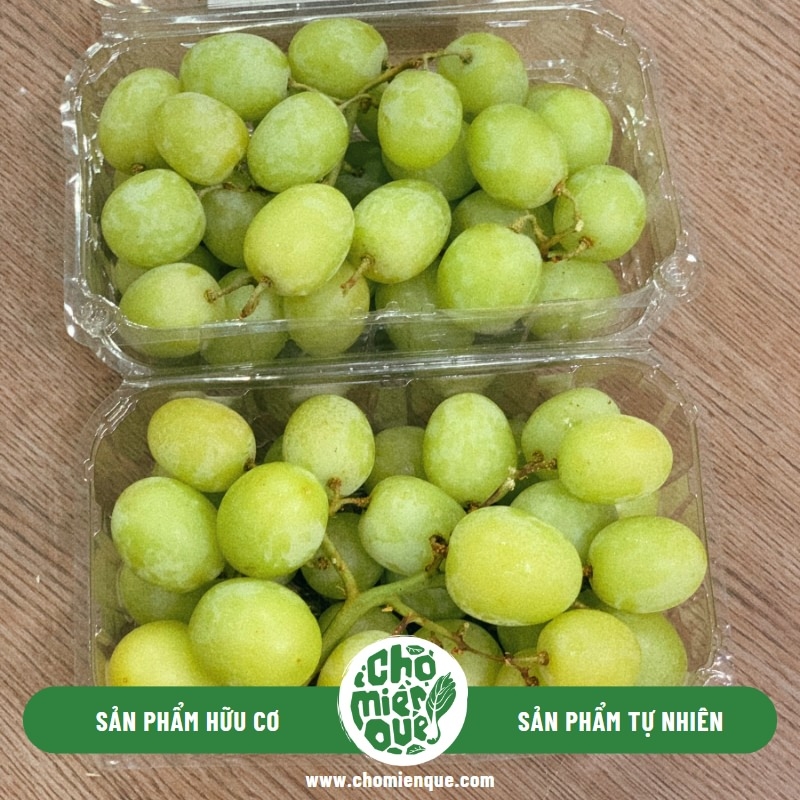 Nho xanh Nam Phi - Hộp 500gr