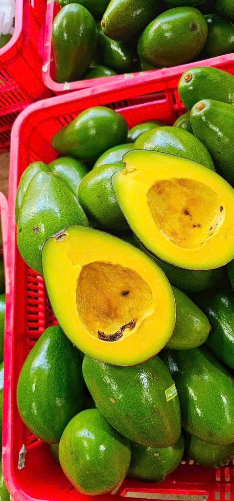 Bơ Tứ Quý Hữu Cơ ĐH