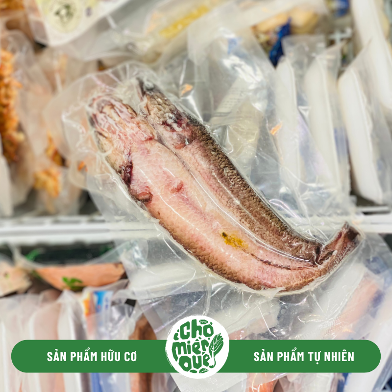 Cá lóc đồng tự nhiên - Kg