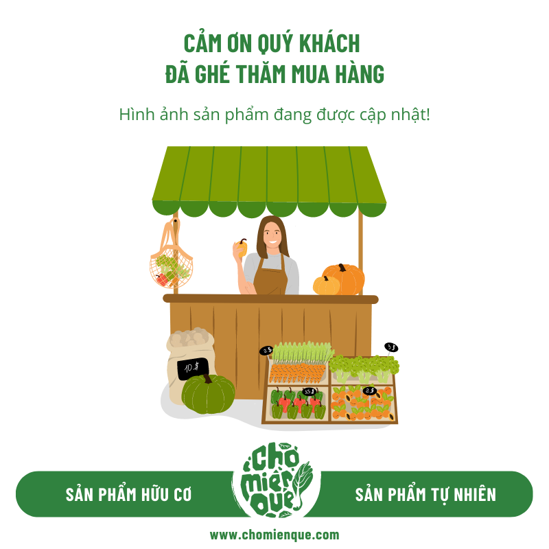 Mực ống size trung (7-12 con/kg) - Kg