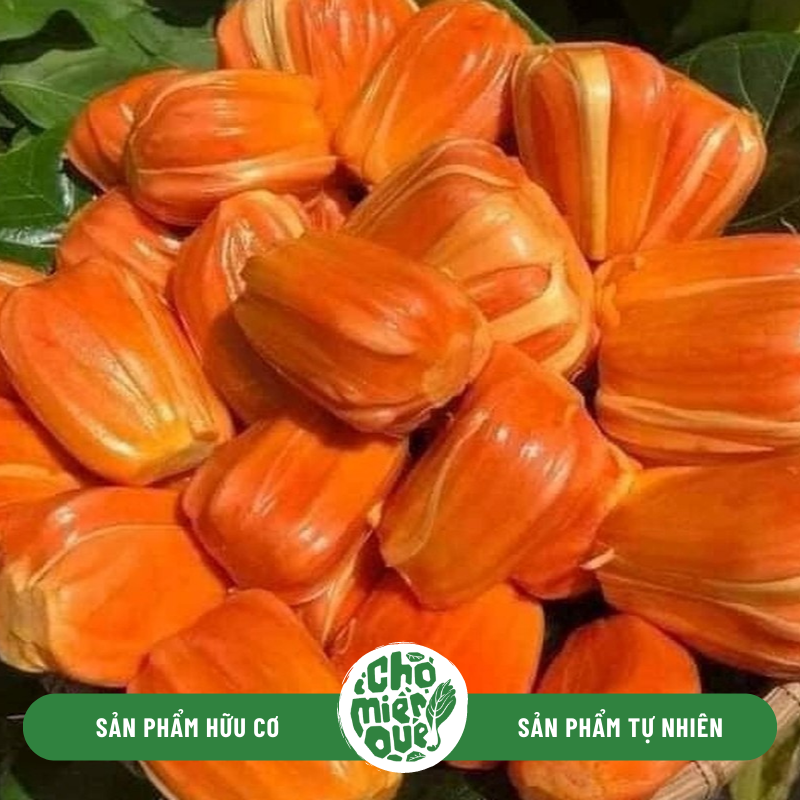 Mít ruột đỏ Indo - Kg