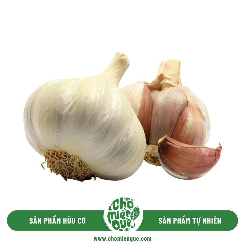Tỏi Bắc Sx Hữu Cơ