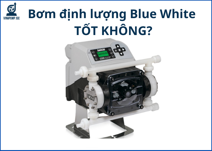 Bơm định lượng Blue White là gì?