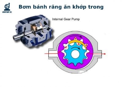 Bơm bánh răng ăn khớp trong: Cấu tạo, nguyên lý, ứng dụng