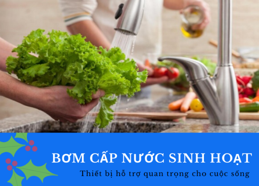 Bơm cấp nước sinh hoạt: đặc điểm cấu tạo, ưu điểm, báo giá mới nhất