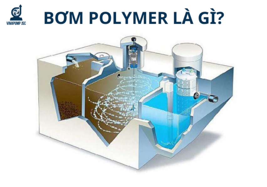 BƠM POLYMER LÀ GÌ? CÁCH CHỌN MUA MÁY BƠM POLYMER