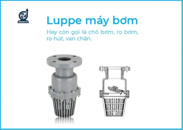 Luppe là gì? Cấu tạo Luppe và phân loại Luppe máy bơm