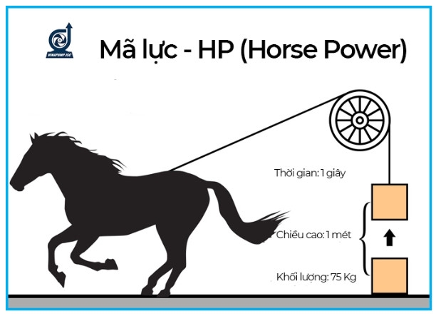 10+ máy bơm nước một ngựa tốt nhất hiện nay kèm bảng giá