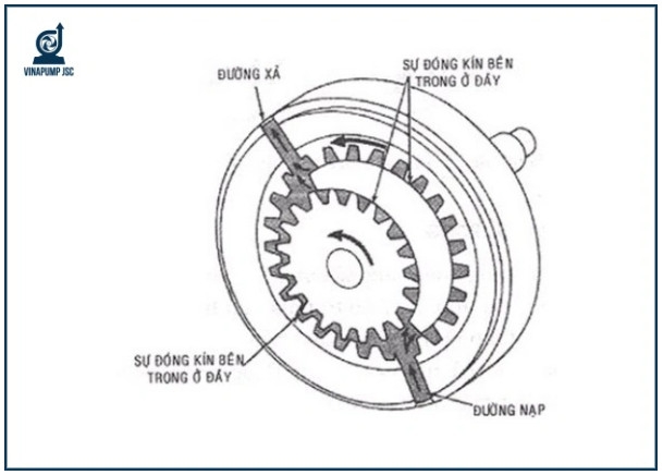 Bơm bánh răng ăn khớp trong: Cấu tạo, nguyên lý, ứng dụng
