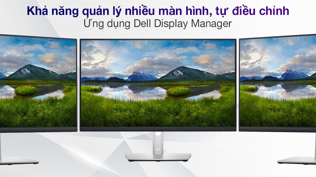 Màn hình LCD Dell 23.8 inch P2422H (1920x1080, IPS, 60Hz, 5ms GtG)