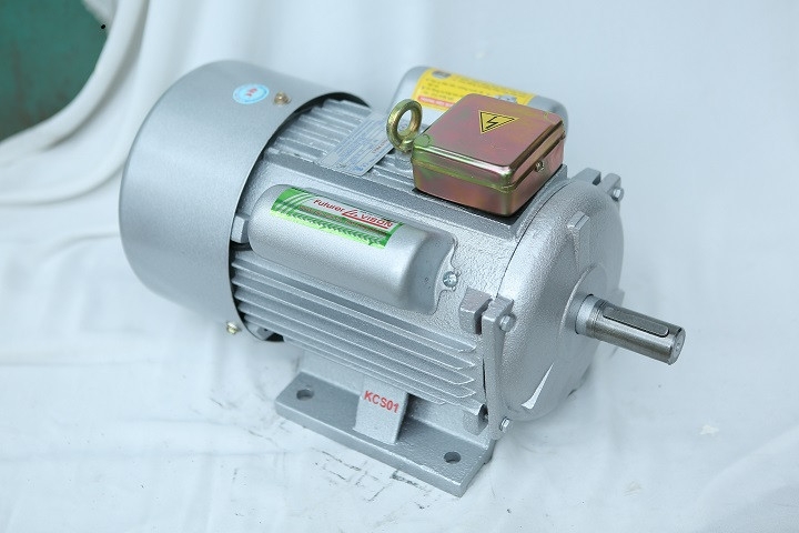 Động Cơ Điện Toàn Phát 3Kw Lớn Vỏ Gang 2900 Vòng/Phút 1 Pha