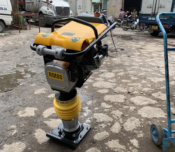 Máy Đầm Cóc Chạy Xăng Đông Phong RM80 - Honda GX160