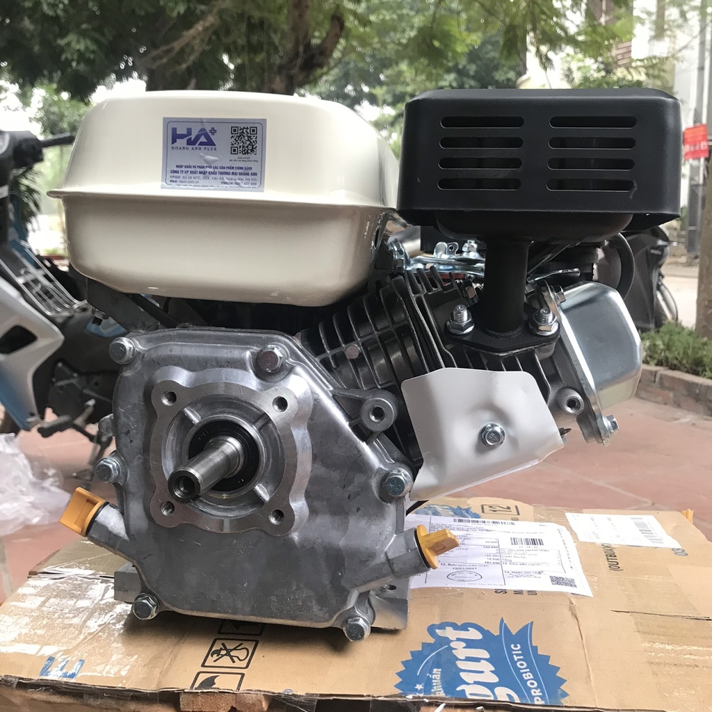 Máy nổ chạy xăng BENLY 5.5HP tua nhanh GX160