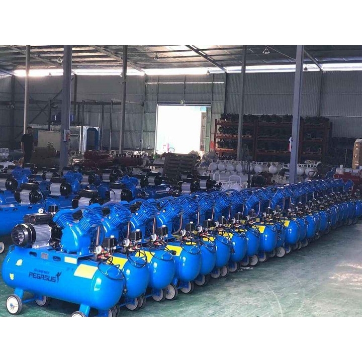 Máy Nén Khí Dây Đai Pegasus 2HP 70L TM-V-0.17/8-70L
