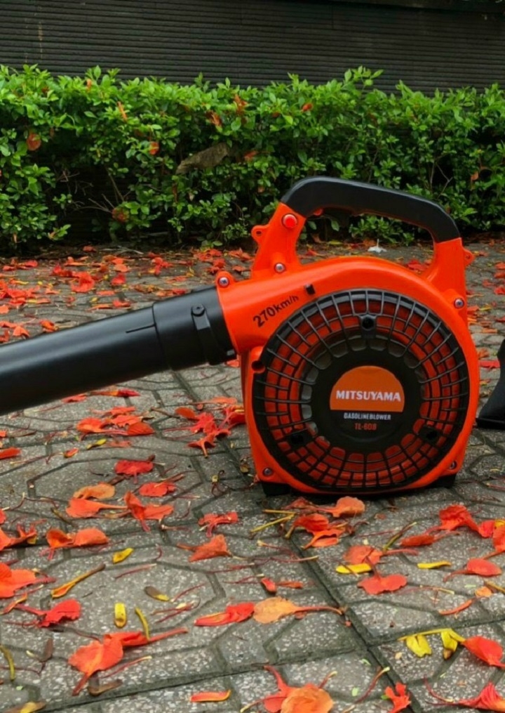 Máy thổi bụi chạy xăng Mitsuyama 750W TL-608